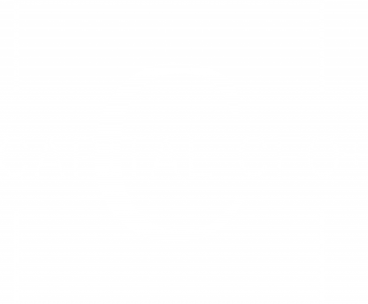 Capital CFO