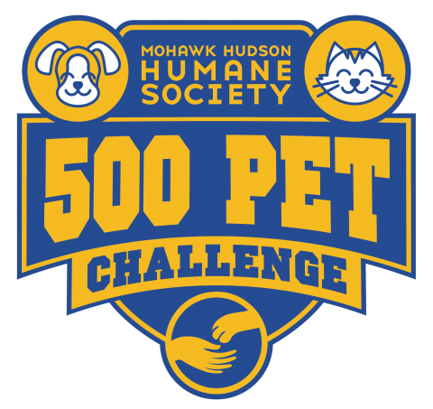 500 Pet Challenge